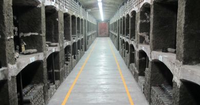 Панорамный вид: Винодельческий комбинат «Массандра»