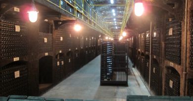 Локация во время экскурсии: винодельческий комбинат «Массандра»