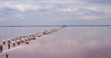 Экскурсии в Озеро Сасык-Сиваш (розовое озеро) из Кипарисного 2024