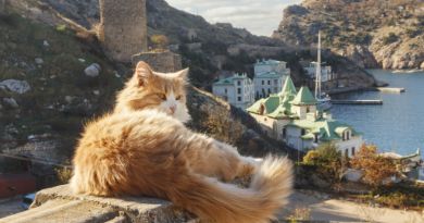 Авто-пешеходная экскурсия из Алушты (фото 2)