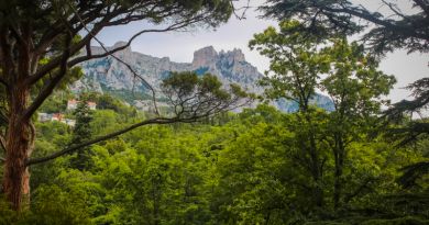 Интересный ракурс: Воронцовский парк